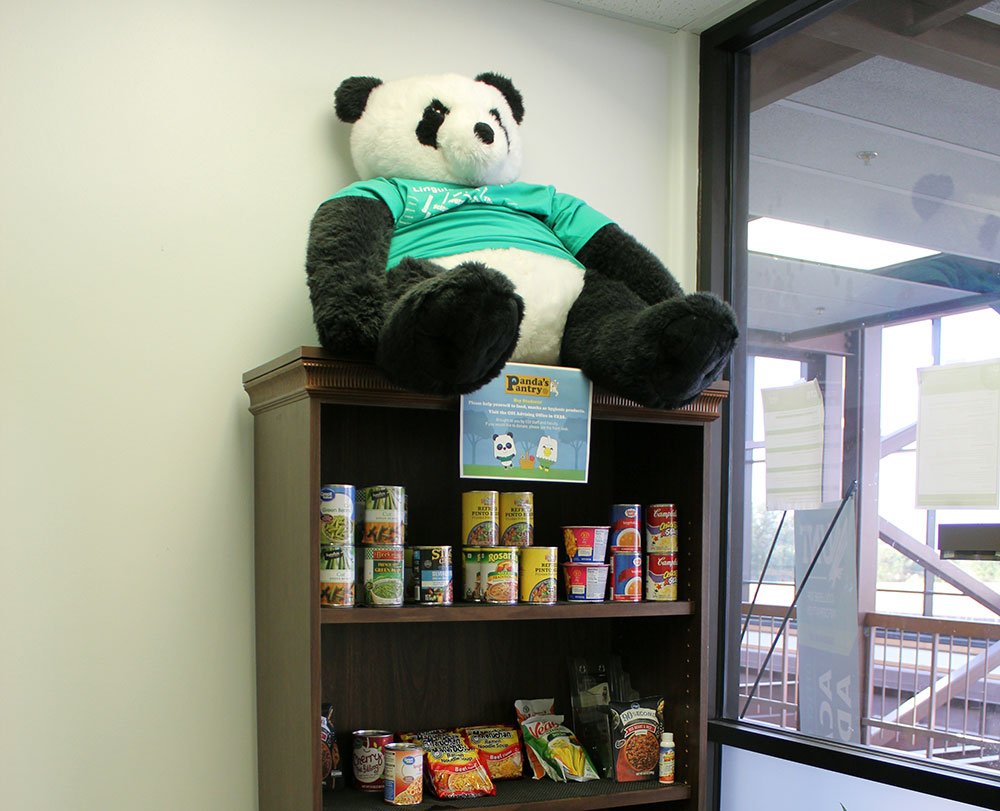 pantry and a panda teddy on top